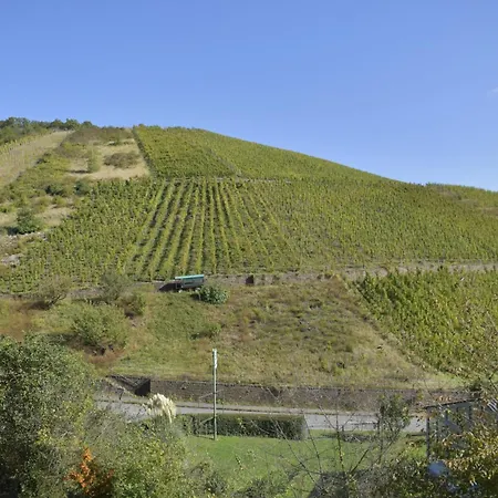 Apartament Emmerich *